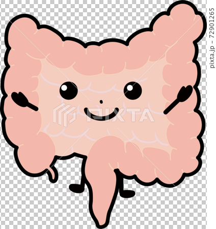 健康な腸 72901265