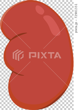 腎臓枠なし 72901331