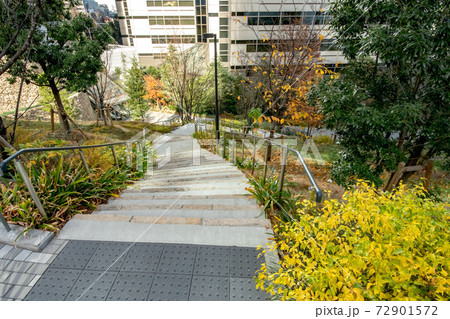 東京都港区立江戸見坂公園 東京都港区立江戸見坂公園 72901572