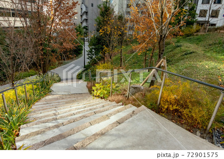 東京都港区立江戸見坂公園 東京都港区立江戸見坂公園 72901575