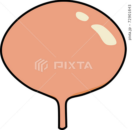 膀胱枠あり 72901643