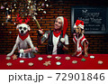 New Year's celebration of a woman and her dogs 72901846