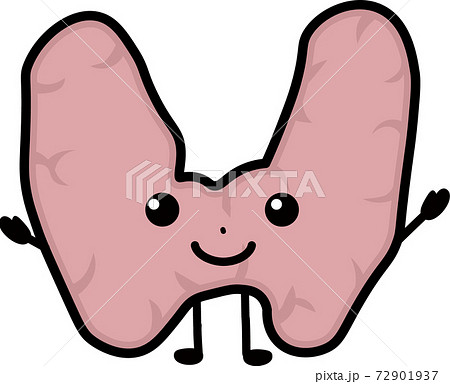 健康の甲状腺 72901937