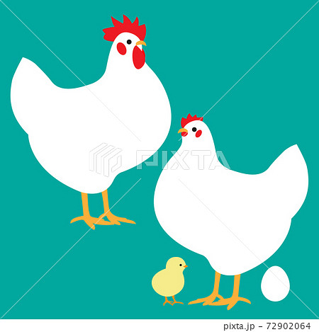 ニワトリの家族 雄鶏 雌鶏 ヒヨコ 卵 のイラスト Chicken Family Illustのイラスト素材