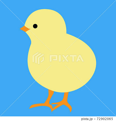 青い背景に黄色いひよこのイラスト Baby Chick Illustration In Blueのイラスト素材