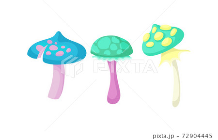 Magic Mushrooms with Bright Cap and Stipe Vector Set Magic Mushrooms with Bright Cap and Stipe Vector Set 72904445