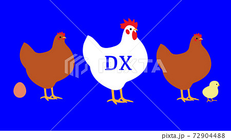 養鶏のDX(デジタルトランスフォーメーション) DX for Livestock industry 養鶏のDX(デジタルトランスフォーメーション) DX for Livestock industry 72904488