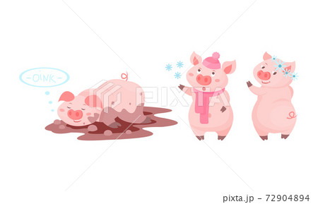 Funny Pink Pig Lying in Mud Puddle and Walking in Winter Vector Set 72904894