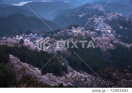 奈良県 吉野山 花矢倉展望台 桜 奈良県 吉野山 花矢倉展望台 桜 72905081