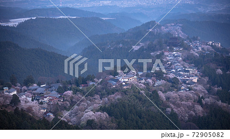 奈良県 吉野山 花矢倉展望台 桜 72905082