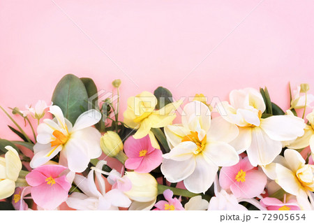 Spring blossoming daffodils, tulips and flowers light bright background, pastel and soft springtime floral card	 72905654
