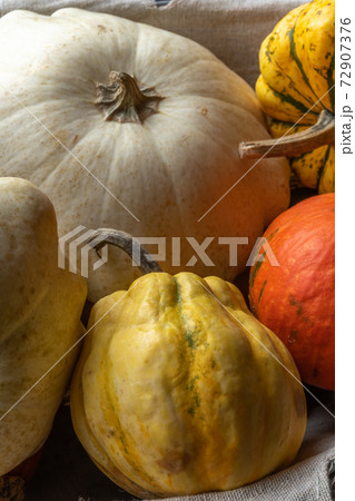 Pumpkin, patisson and jack be little in a decorative basket 72907376