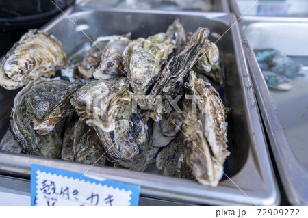 牡蠣小屋　貝類　岩牡蠣　美味しい　食べ放題　味覚　オイスター 72909272