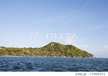 Still life photography images Still life photography images 72909351