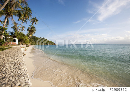 Still life photography images 72909352