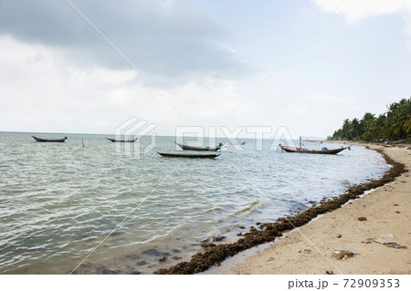 Still life photography images 72909353