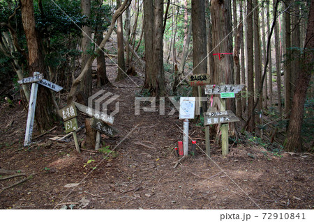 丹波市の金山城跡から下った分岐点に立つおびただしい数の道標 72910841