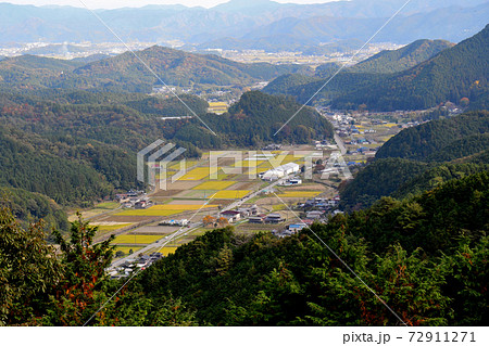 丹波市の金山城跡の登山路から表示板に従い大山荘の方向を望む 72911271