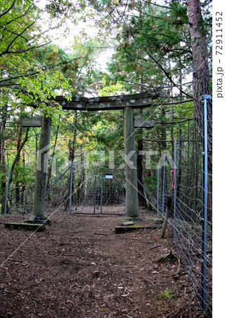 丹波市の金山城跡の登山路の端にある鳥居　向う側は獣よけの柵　縦位置 72911452