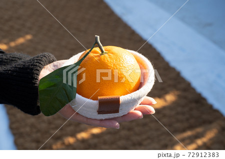 ご飯 ライス フルーツ 72912383