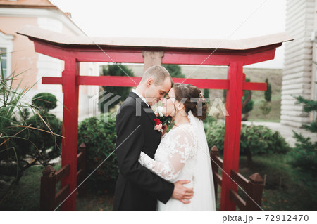 Amazing happy gentle stylish beautiful romantic caucasian couple on the background ancient baroque castle 72912470