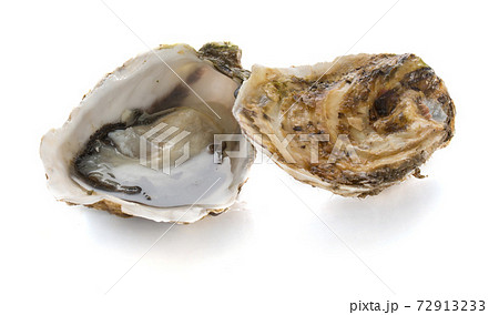 An open oyster and a closed oyster isolated 72913233