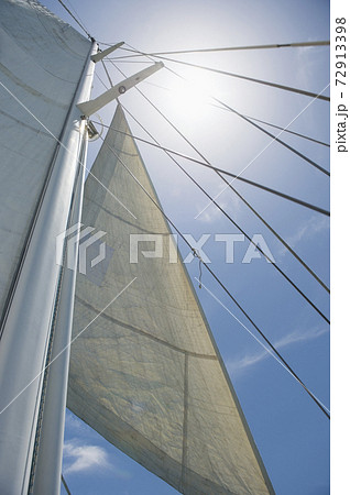 Still life photography images Still life photography images 72913398