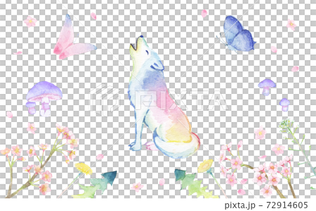 Watercolor set material of a colorful howling wolf and a spring frame 72914605