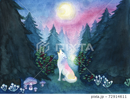 水彩画 色鮮やかな狼が夜の幻想的な森で遠吠えをしているイラストのイラスト素材