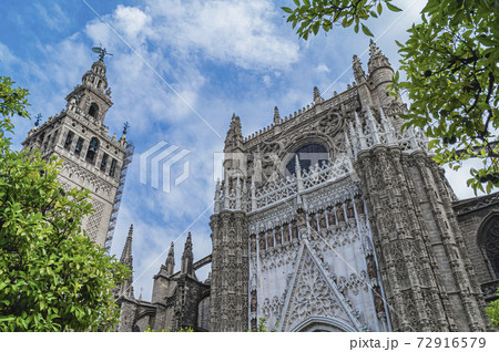 Seville Cathedral is one of the main attractions of Seville Seville Cathedral is one of the main attractions of Seville 72916579
