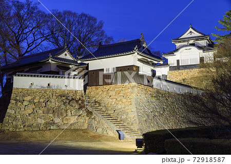 岡山高梁_備中松山城ライトアップ 72918587