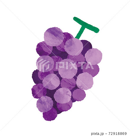 水彩風 ぶどうのイラスト素材のイラスト素材