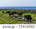 海 海事 海軍 72919362