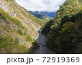 山 鶏冠 とさか 72919369