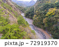 山 鶏冠 とさか 72919370