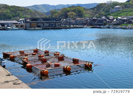 良質な魚介類が水揚げされる由良漁港 72919779