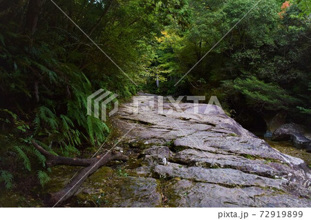 川沿いの岩場 72919899