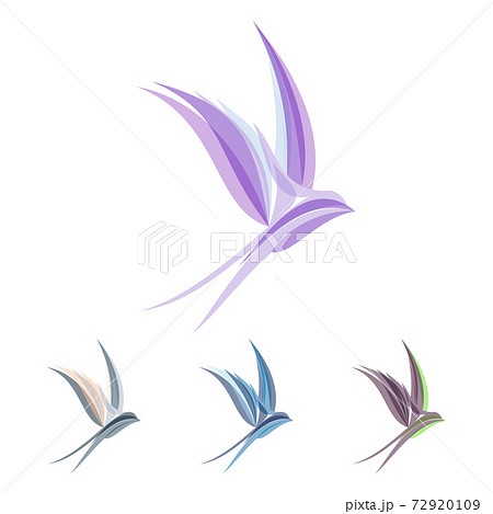 Abstract Colored Stylized Swallow Template for Logo Design Abstract Colored Stylized Swallow Template for Logo Design 72920109
