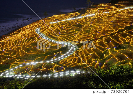 ライトアップ 72920704