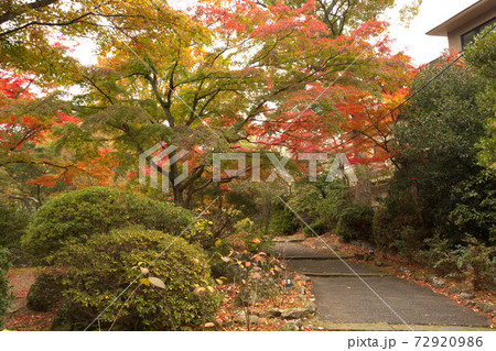 箱根 強羅公園の紅葉の写真素材