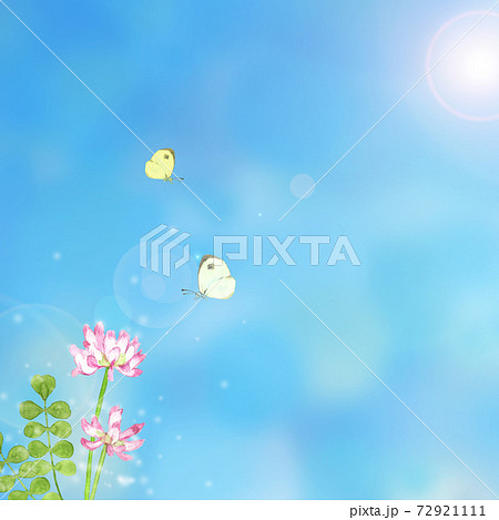 レンゲの花と蝶々の水彩イラスト レンゲの花と蝶々の水彩イラスト 72921111