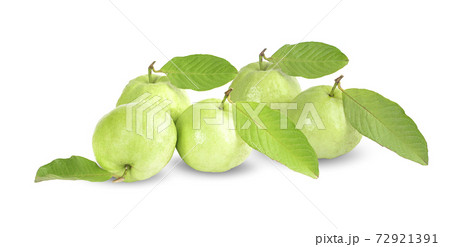 guavas fruit an isolated on white background guavas fruit an isolated on white background 72921391