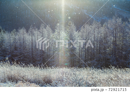 霧ヶ峰高原サンピラー 霧ヶ峰高原サンピラー 72921715