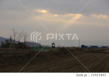 水鳥 学 鳥 72921845