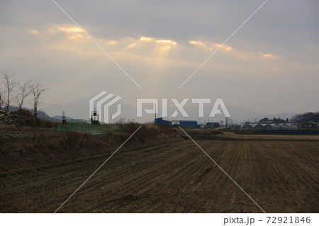 水鳥 学 鳥 72921846