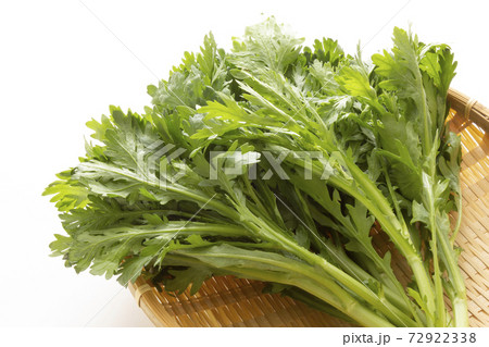 鍋用野菜  春菊 72922338
