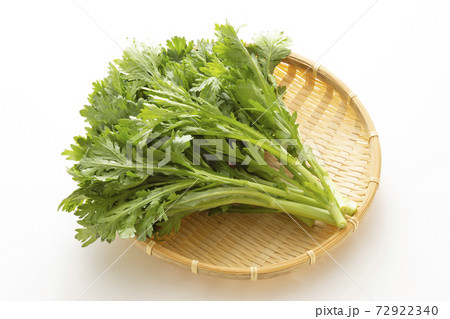 鍋用野菜  春菊 72922340
