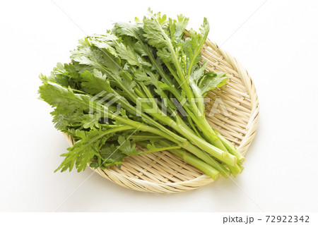 鍋用野菜  春菊 72922342