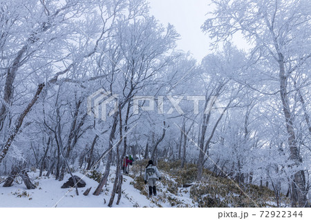 霧氷の赤城山スノーハイク 霧氷の赤城山スノーハイク 72922344