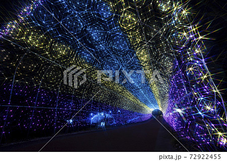 船岡城址公園のイルミネーション Shibata Fantasy Illumination 2020 船岡城址公園のイルミネーション Shibata Fantasy Illumination 2020 72922455